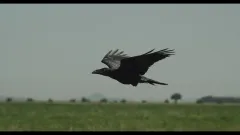 OBRAZEM: Alice Nellis začne točit pohádku Sedmero krkavců. Máme fotky z předtáček.