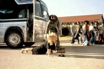 Goldie Hawn - Vojín Benjaminová (1980), Obrázek #7