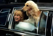 Goldie Hawn - Protokol (1984), Obrázek #7