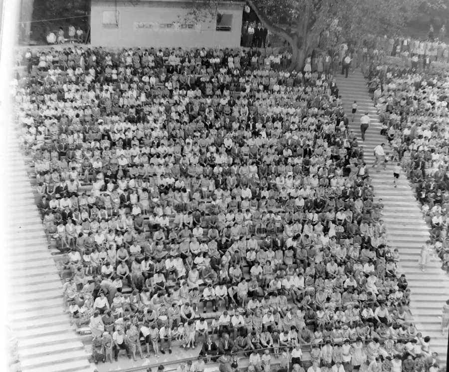 hvezdy-na-platne-i-nad-hlavou-letni-kina-jsou-tady-13