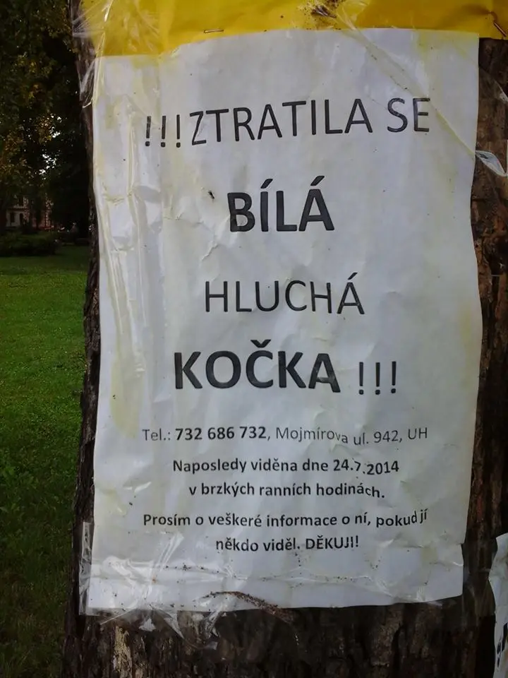 5-poznatku-ktere-vam-zprijemni-letni-filmovou-skolu-v-uherskem-hradisti