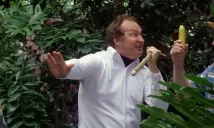 Randy Quaid - Bláznivá vánoční dovolená bratrance Edieho (2003), Obrázek #7