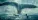 V srdci moře: Chris Hemsworth vs. Moby Dick v druhém traileru
