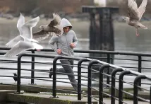 Jamie Dornan - Padesát odstínů šedi (2015), Obrázek #13