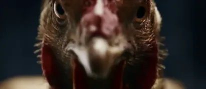 Za nejlepšími reklamami do Prahy i do Brna (SOUTĚŽ)