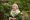 Kate Winslet - Králova zahradnice (2014), Obrázek #8