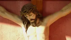 Kdo je Dayani Cristal? / Who is Dayani Cristal?: Trailer