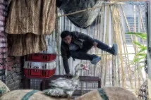 Tony Jaa