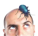 Hovory s Bohem na Festivalu Evolution, který vám nasadí brouka do hlavy (SOUTĚŽ)