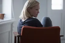 Ellen Dorrit Petersen - Slepá (2014), Obrázek #2