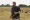Matthias Schoenaerts - Daleko od hlučícího davu (2015), Obrázek #5
