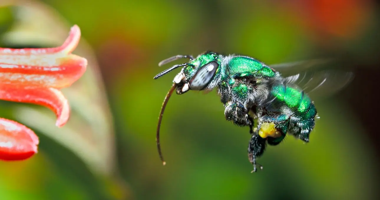 10-zajimavosti-ktere-nejspis-nevite-o-serialu-teorie-velkeho-tresku-4
