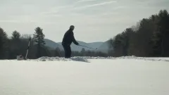 Bob a stromy / Bob and the Trees: Teaser