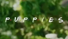 P.U.P.P.I.E.S. jsou tou nejroztomilejší parodií, jakou kdy znělka Přátel dostala