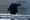 Jean Reno - Nemilosrdní (2015), Obrázek #11