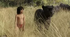 Nová Kniha džunglí ohromuje v mezinárodním traileru