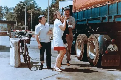 Wie füttert man einen Esel