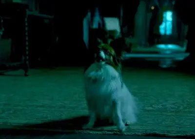 recenze-purpurovy-vrch