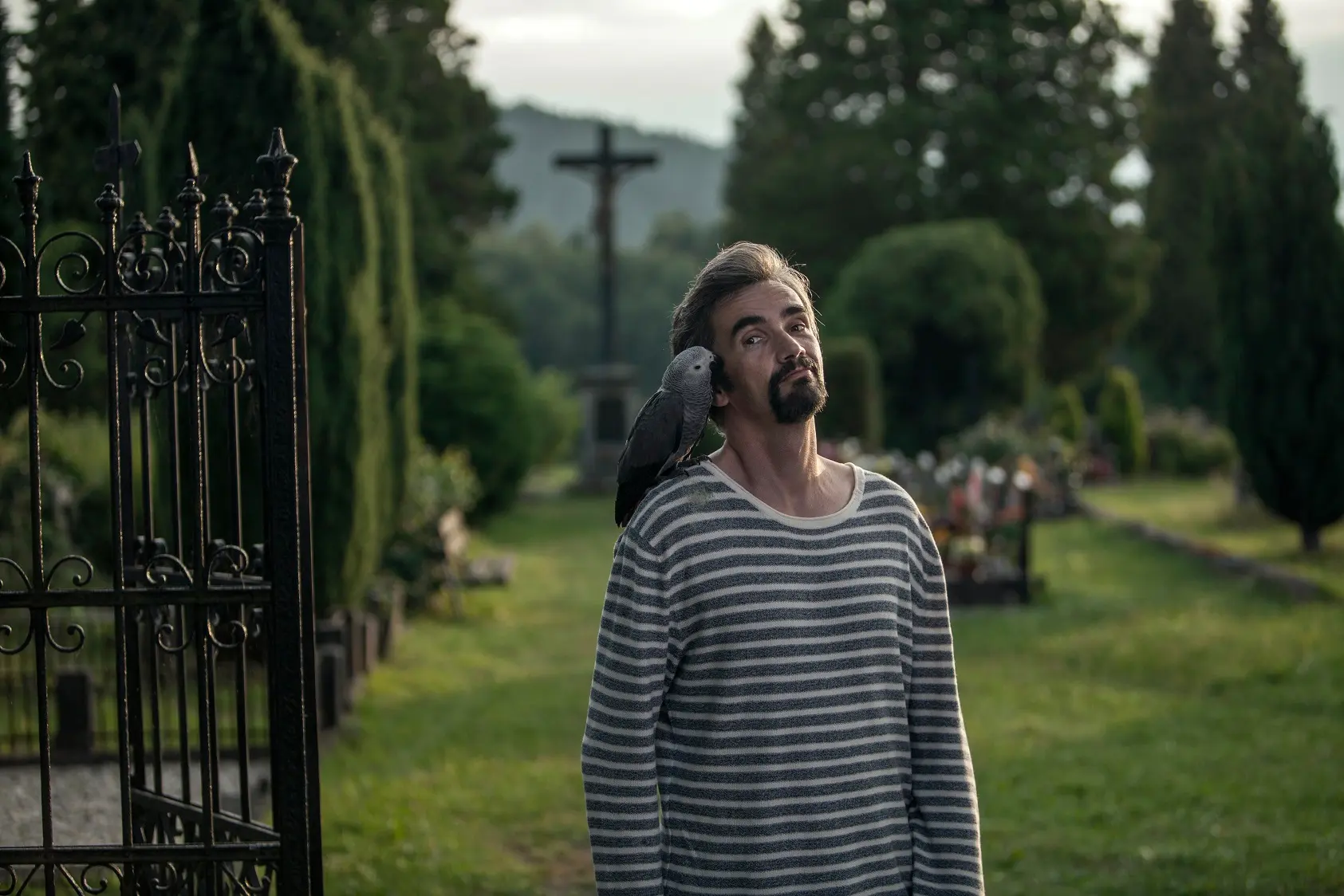 Myšička, papoušek a rozjímání o historické zradě. SOUTĚŽTE o lístky na Zelenkovu novinku Ztraceni v Mnichově.