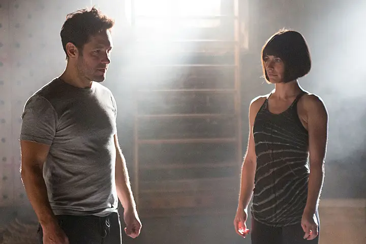 Kdo by mohl natočit pokračování Ant-Man and the Wasp?