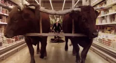 Onirica / Field of Dogs: Trailer