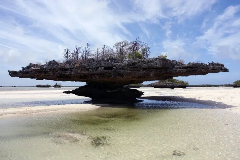 Aldabra: Byl jednou jeden ostrov