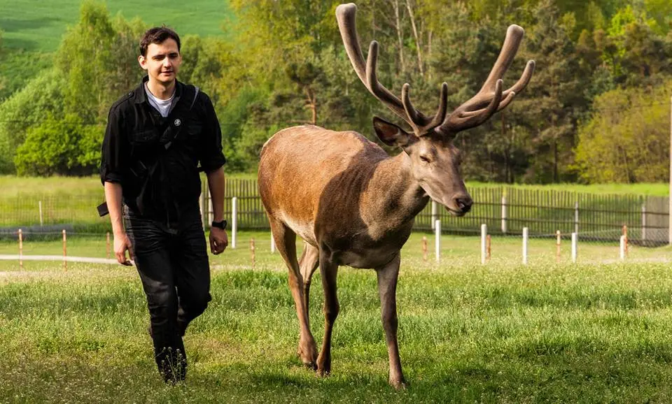 famufest-uvede-lesapana-filmovy-hejkal-by-zatocil-s-pytlaky-i-houbari