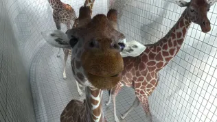 11. Festival krátkých filmů Praha expanduje do regionů