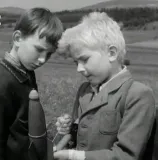 Králíci ve vysoké trávě