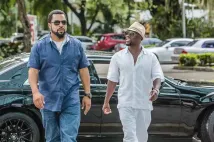 Ice Cube - Poldův švagr (2016), Obrázek #8
