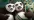 US tržby: Kung Fu Panda 3 nezažila zrovna pandastický start