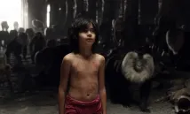Neel Sethi - Kniha džunglí (2016), Obrázek #2