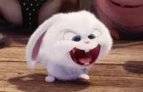 Tajný život mazlíčů vám přeje veselé Velikonoce! Aneb zlověstné video s roztomilým králíčkem.