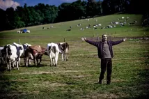 Jakub Kohák - Teorie tygra (2016), Obrázek #7