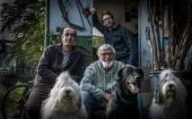 Jakub Kohák - Teorie tygra (2016), Obrázek #4