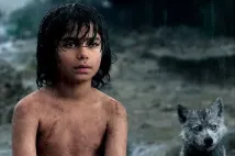 Neel Sethi