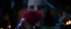Kráska a zvíře: Nová hraná verze dostala magický teaser trailer s českým dabingem