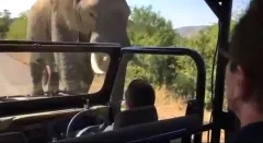 Arnold Schwarzenegger a slon: Někteří z nás si poté museli vyměnit kalhoty...