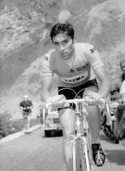 Eddy Merckx