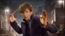 Fantastická zvířata ještě nejsou v kině a už se připravují další díly. Kolik jich bude?