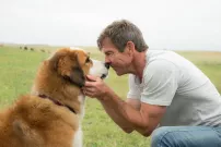 A Dog's Purpose: Trailer - život je pes, ale krásnej. Připravte si kapesníčky!