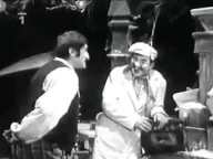 Nejsem chmýrko na bodláku