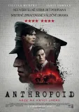 Anthropoid