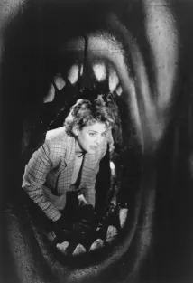 Virginia Madsen - Candyman (1992), Obrázek #2