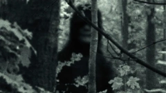 Skryté zlo / The Bye Bye Man: Trailer - nevyslovujte jeho jméno, ani na něj nemyslete