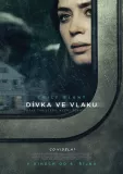 Dívka ve vlaku