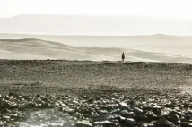 Tom Taylor (II) - Temná věž (2017), Obrázek #1