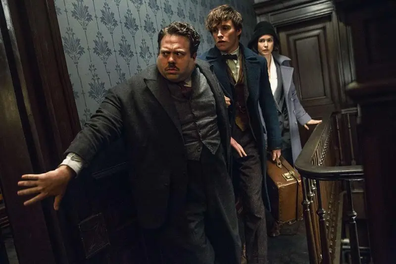 Katherine Waterston, Dan Fogler, Eddie Redmayne