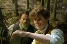 Eddie Redmayne - Fantastická zvířata a kde je najít (2016), Obrázek #20