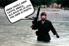 Zdá se, že Hillary Clintonová to má sečtené. Donalda Trumpa podpořil Chuck Norris.